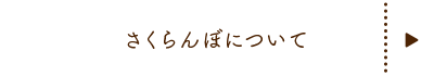 さくらんぼについて